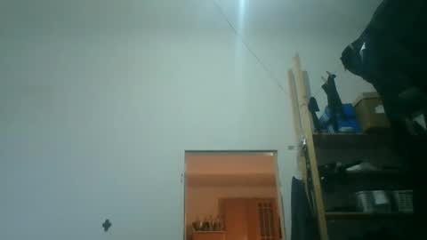 fine_nice online show from 18, 10, 2025