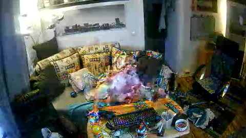 fips1981 online show from 21, 11, 2025