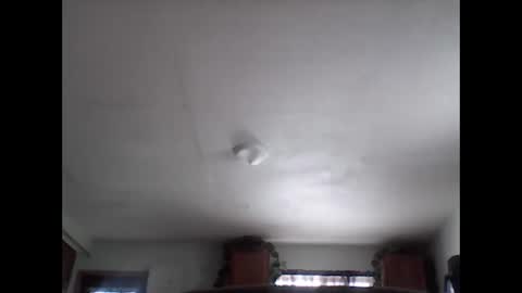 Snapshot of fireprince1977 chatting on 29, 11, 2025 Brad online show from 29, 11, 2025