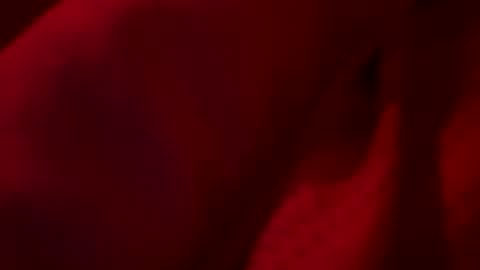 Snapshot of firsttime_freak chatting on 23, 5, 2026 FirstTimeFeak online show from 23, 5, 2026