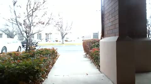 Snapshot of fit_hung_sub chatting on 16, 12, 2024 pain slut daren online show from 16, 12, 2024