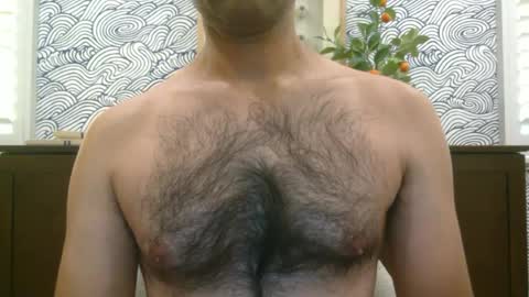 Snapshot of fitfriendlyandhairy chatting on 5, 7, 2026 fitfriendlyandhairy online show from 5, 7, 2026