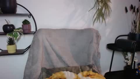 Snapshot of fitness1989 chatting on 20, 7, 2026 fitness1989 online show from 20, 7, 2026