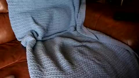 fitstevie1 online show from 16, 1, 2025