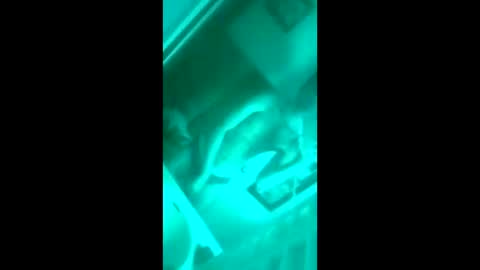 floridaloverboy88 online show from 29, 9, 2025