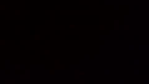 floridaman320 online show from 11, 11, 2025