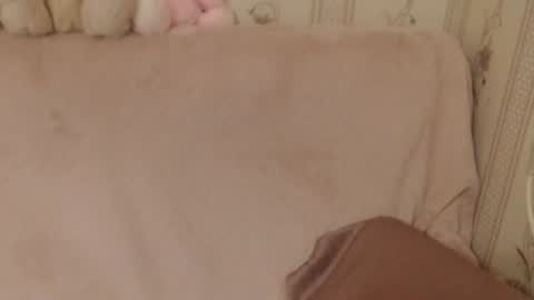 Snapshot of flowercandydoll chatting on 26, 6, 2026 say meow and send tip online show from 26, 6, 2026