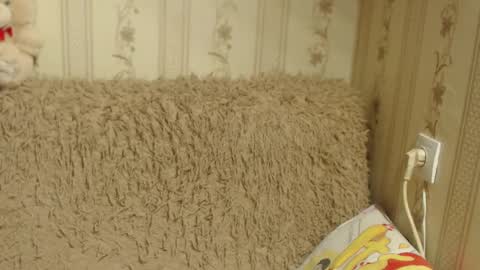 say meow and send tip  online show from 17, 1, 2025