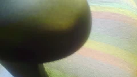 Snapshot of floydeboy chatting on 5, 5, 2026 floydeboy online show from 5, 5, 2026