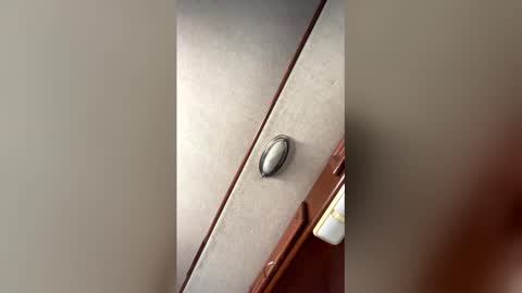 fordfocusz online show from 16, 3, 2026