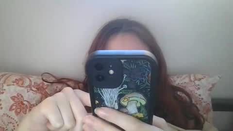 forestpet12 online show from 2, 12, 2025