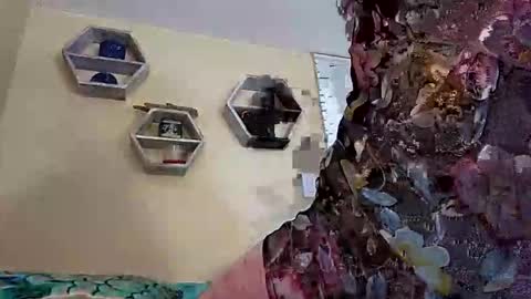 foxyanjel online show from 27, 10, 2025