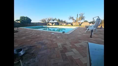 fra  71 online show from 28, 3, 2026