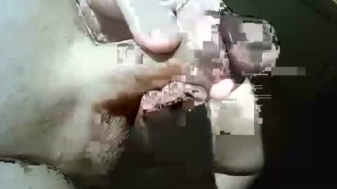 Frank online show from 29, 3, 2026