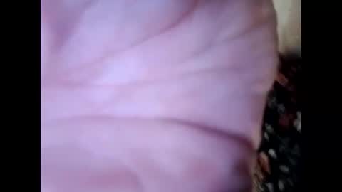 frecklesandsparky online show from 4, 4, 2026