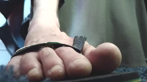 Greedy Fred online show from 4, 2, 2026