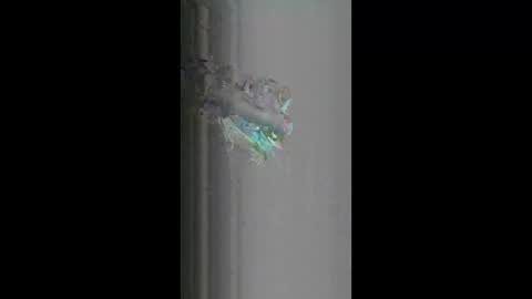 fredy621268 online show from 18, 4, 2026