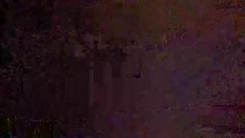 freelingling online show from 30, 11, 2025