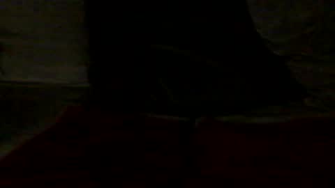 Snapshot of french_dick_20 chatting on 13, 6, 2026 french_dick_20 online show from 13, 6, 2026