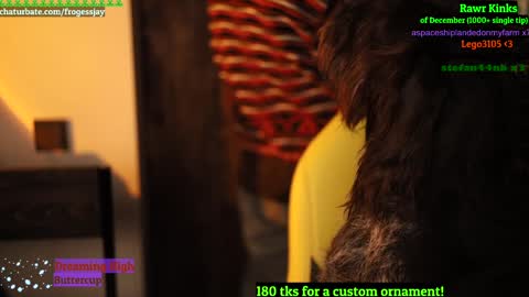 Snapshot of frogessjay chatting on 26, 12, 2024 Jaywise Frogfoot online show from 26, 12, 2024