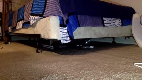 Snapshot of fromthabac chatting on 2, 6, 2026 fromthabac online show from 2, 6, 2026