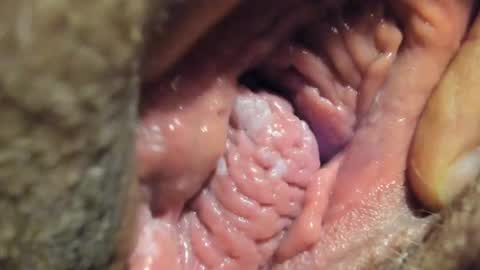 FrumCake online show from 4, 1, 2025