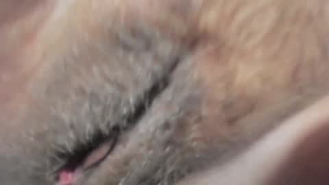 FrumCake online show from 10, 1, 2025