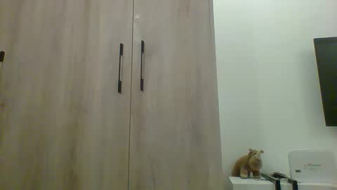 Prince online show from 13, 11, 2025