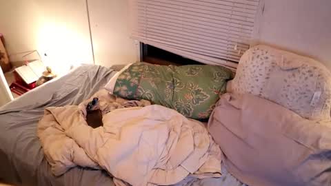 fuckmypussyplz1 online show from 11, 9, 2025