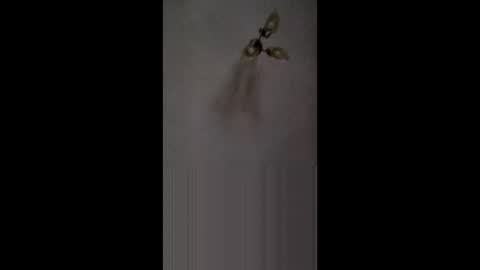 Snapshot of fucktoy972955 chatting on 26, 2, 2026 fucktoy972955 online show from 26, 2, 2026