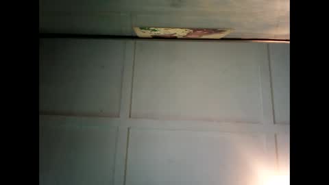 Warwick online show from 2, 12, 2024