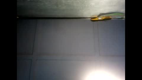 Warwick online show from 3, 12, 2024