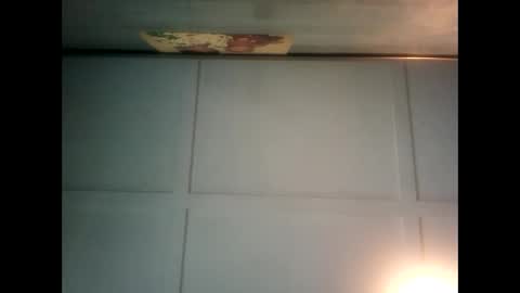 Warwick online show from 3, 12, 2024