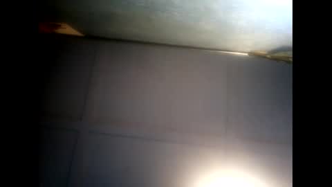 Warwick online show from 5, 12, 2024