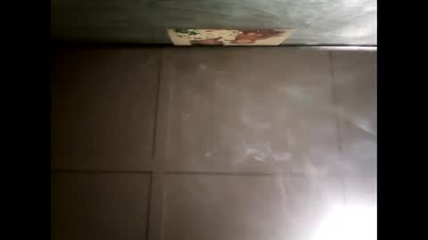 Warwick online show from 9, 12, 2024