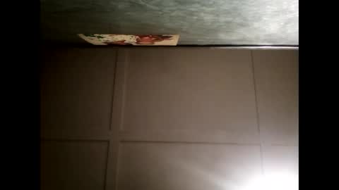 Warwick online show from 12, 12, 2024