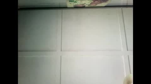 Warwick online show from 17, 12, 2024