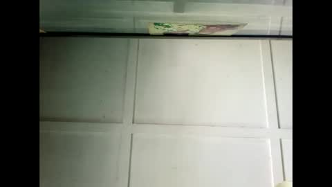 Warwick online show from 19, 12, 2024