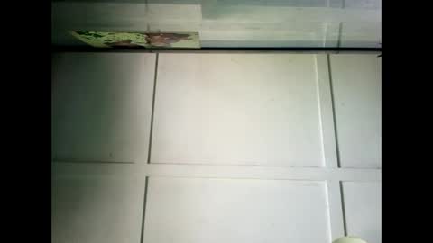 Warwick online show from 23, 12, 2024