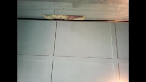 Warwick online show from 26, 12, 2024