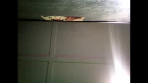 Warwick online show from 31, 12, 2024