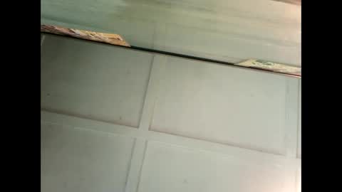 Warwick online show from 4, 1, 2025