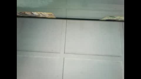 Warwick online show from 9, 1, 2025