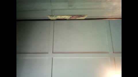 Warwick online show from 16, 1, 2025