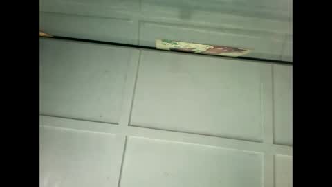 Warwick online show from 18, 1, 2025