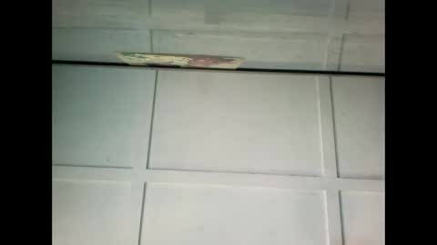 Warwick online show from 20, 1, 2025