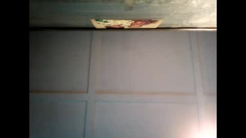 Warwick online show from 28, 1, 2025