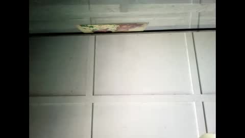 Warwick online show from 30, 1, 2025