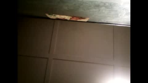 Warwick online show from 30, 1, 2025