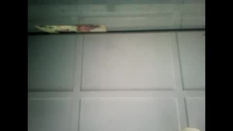 Warwick online show from 1, 2, 2025